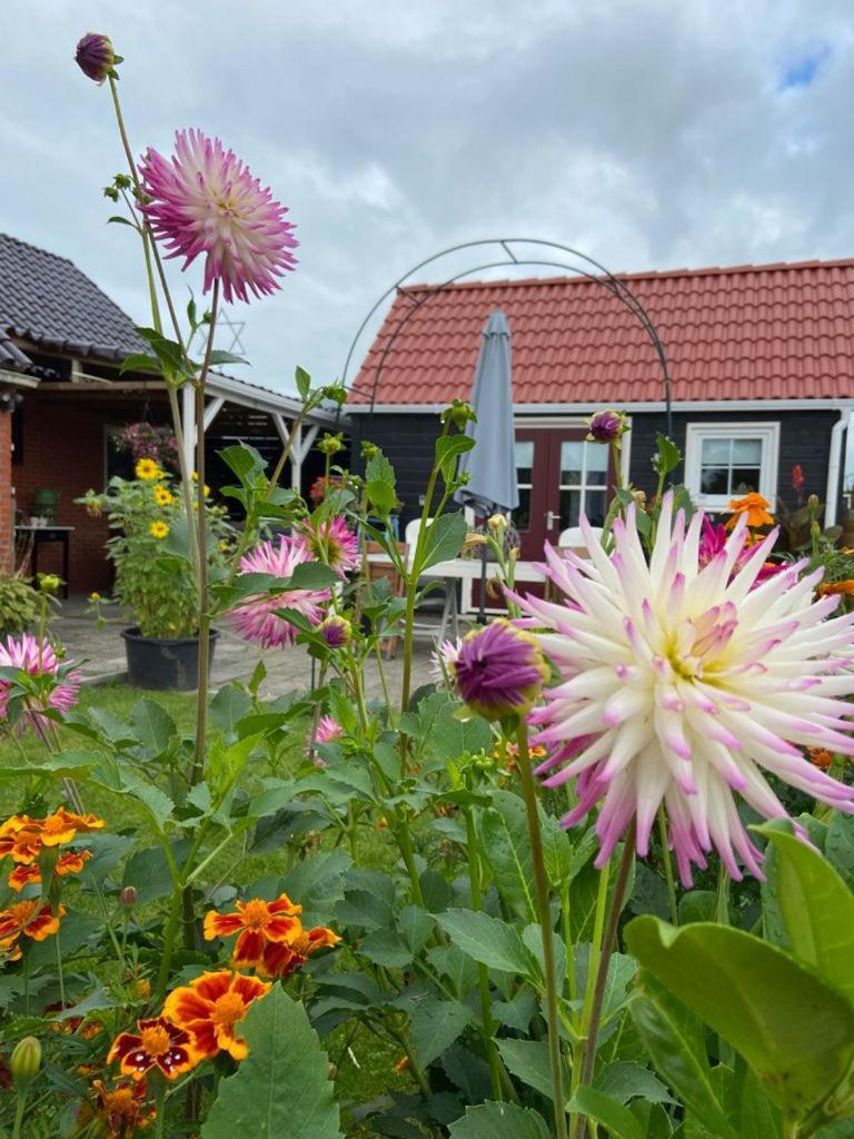 Bed and Breakfast Bed En Brochje De Oase Sweagerbosk Exterior foto