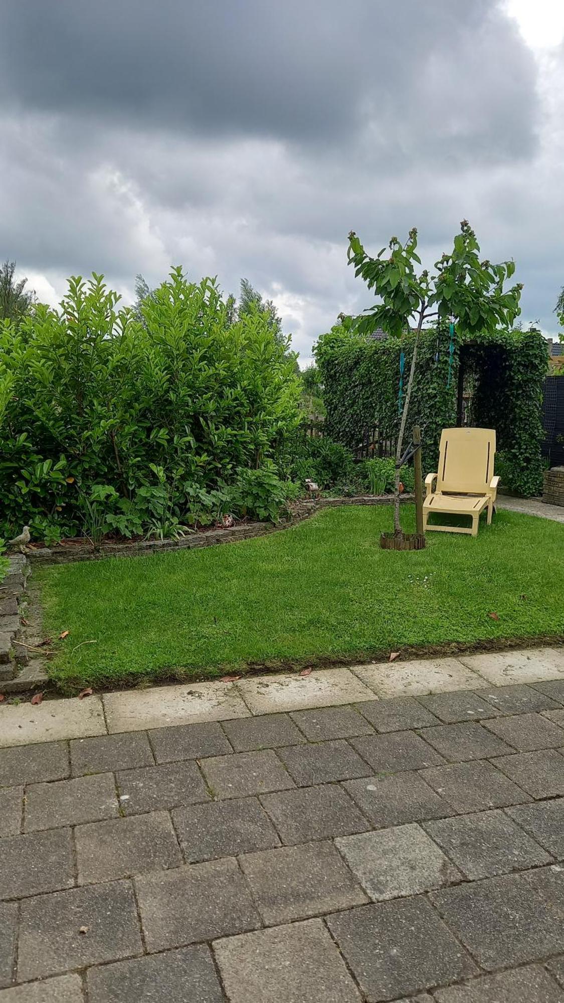 Bed and Breakfast Bed En Brochje De Oase Sweagerbosk Exterior foto